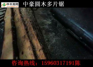 中木商网 一站式木材包装材料及制品采购平台