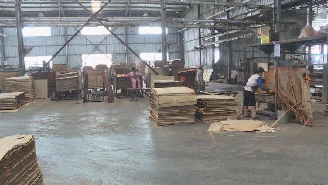 环江 换挡提速，开辟木材加工产业发展新蓝图