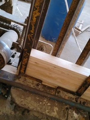 广西缘源林产品木业 深耕木材加工，谱写绿色发展新篇章